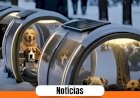 Budapeste instala abrigos aquecidos para proteger cães de rua do frio extremo